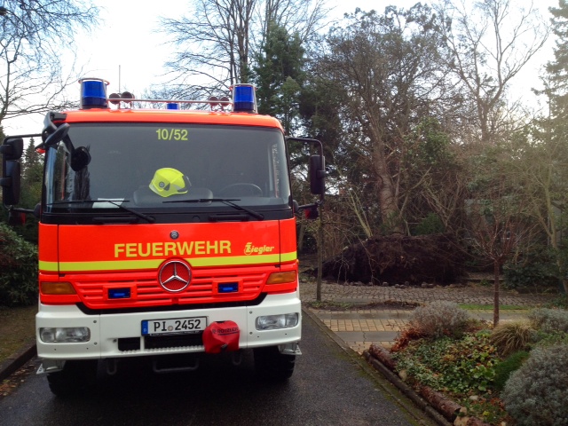 Baum auf Carport gestürzt